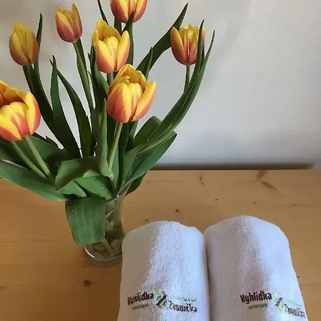 Horsky Vyhlidka Rejviz Zlaté Hory