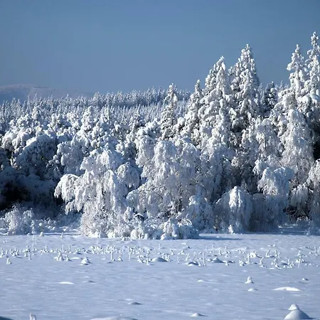 Horsky Vyhlidka Rejviz * Zlaté Hory